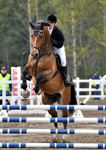 tierpidag hasthoppning